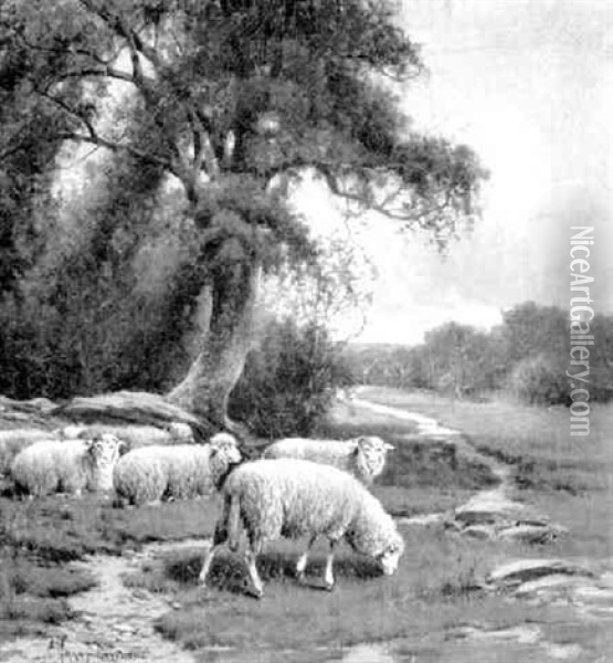 Grazing Sheep, Mid-day Oil Painting - Charles Grant Davidson