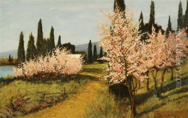 Trees In Bloom, Crimea Oil Painting - Iosif Evstafevich Krachkovsky