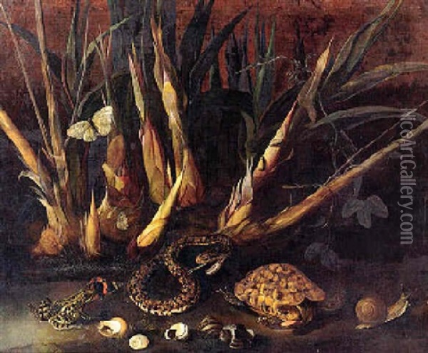 A Species Of Passiflora With A Pit Viper, Tortoise And Other Animals Within Undergrowth Of Sugar Cane Oil Painting - Albert van der Eeckhout