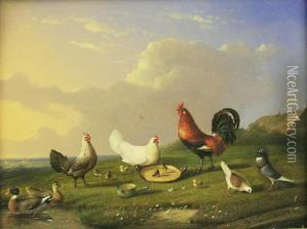 Chickens, Ducks And Pidgeons In A Landscape Oil Painting - Joseph Van Severdonck