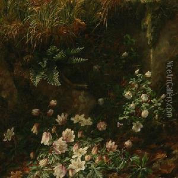 Forest Floorwith Anemons Oil Painting - Anthonie, Anthonore Christensen