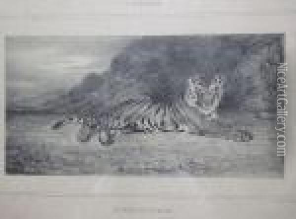 Etude De Tigre. 1832. Oil Painting - Antoine-louis Barye