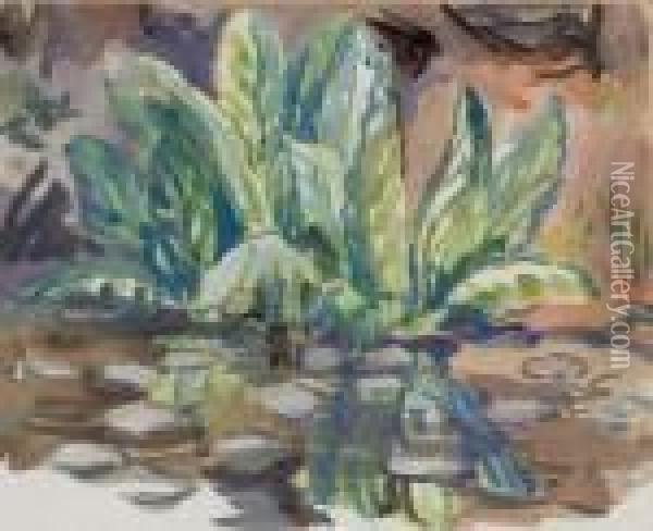 Flower Study Oil Painting - Mainie Harriet Jellett