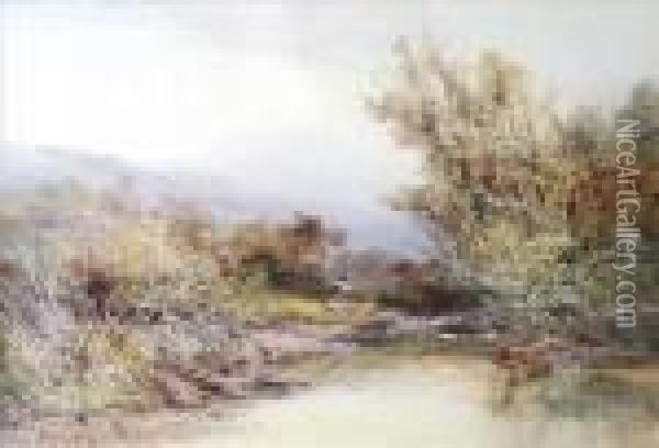 A Moorlandstream Oil Painting - William Widgery