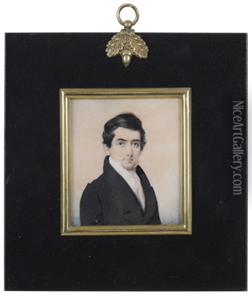 Portrait Of A Young Gentleman Of The Brown Family Of Philadelphia Oil Painting - Daniel Dickinson