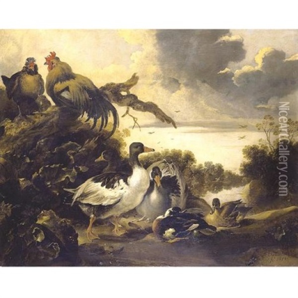 Fowl On A Riverbank Oil Painting - Gysbert Gillisz de Hondecoeter
