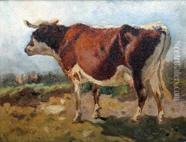 Kuh Oil Painting - Anton Schrodl