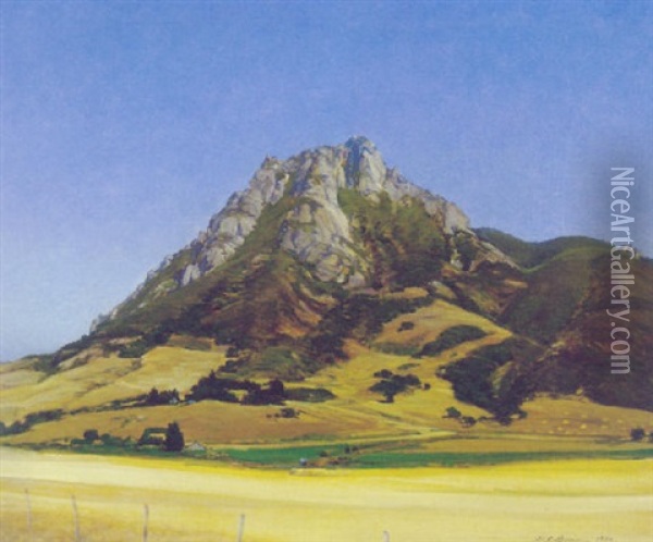 Bishop`s Peak, California Oil Painting - Henry Joseph Breuer