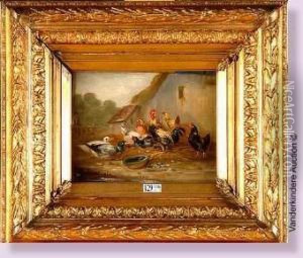 Coq, Poules Et Canards Dans La Basse-cour Oil Painting - Claude Guilleminet