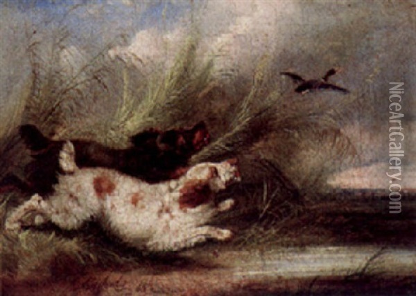 Terriers Chasing A Rabbit To Earth Oil Painting - George Armfield