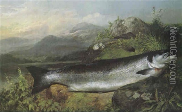 A Salmon Oil Painting - John Bucknell Russell