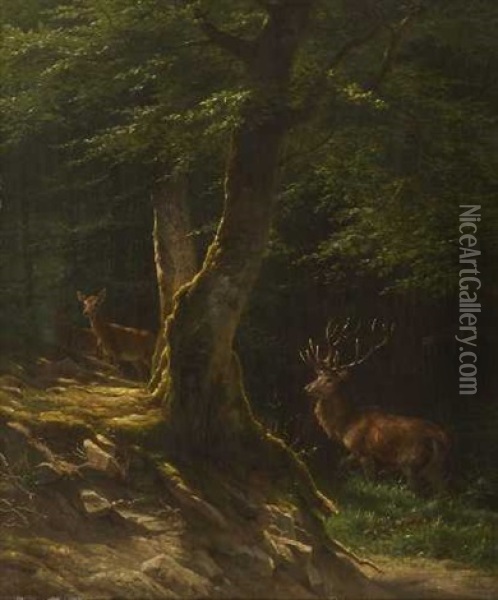 Hirsch Mit Hirschkuhen Im Sommerwald Oil Painting - Johannes Christian Deiker