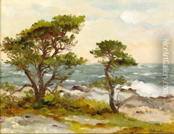 Tallar Vid Havet - Toro Stenstrand Oil Painting - Rolf Mellstrom