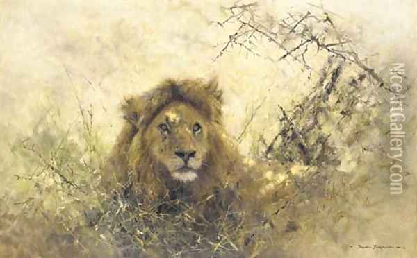 Old Chap - portrait of a lion Oil Painting - Thomas Hosmer Shepherd