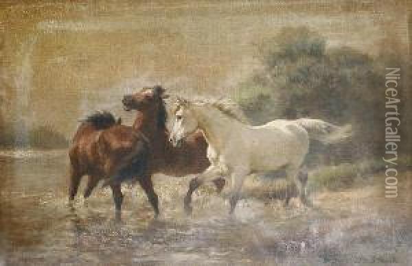 Horses Bolting Oil Painting - Jan Hendrik Scheltema
