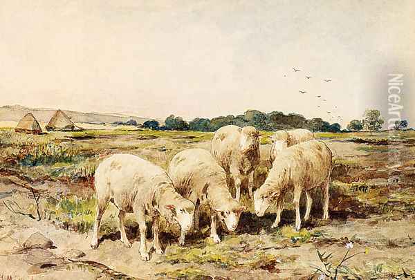 Grazing Sheep Oil Painting - Anton Mauve
