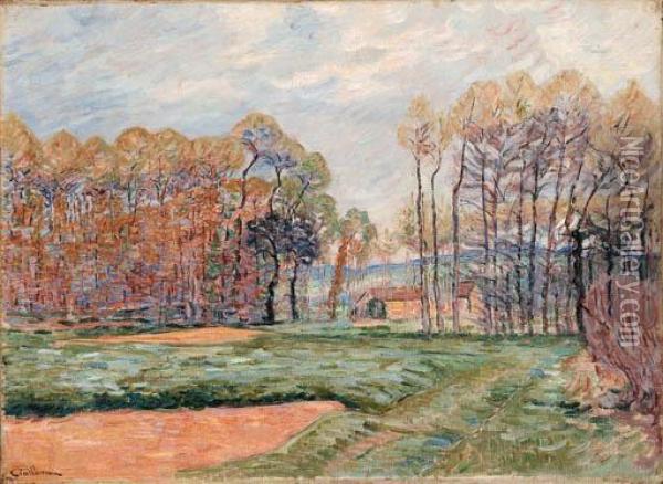 Paysage D'automne Oil Painting - Armand Guillaumin
