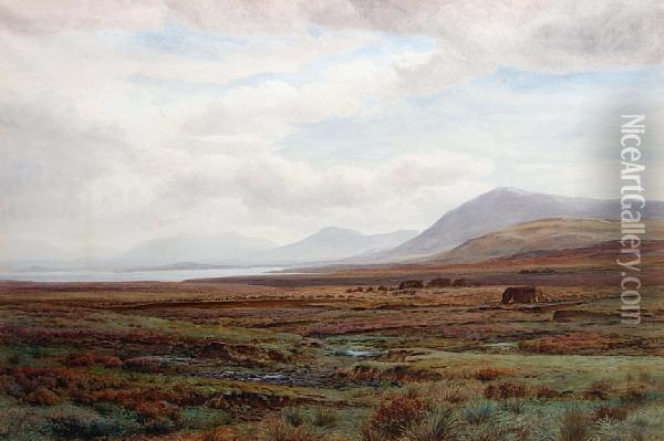 On The Moors, Achill Island, Co. Mayo,ireland Oil Painting - Henry Albert Hartland