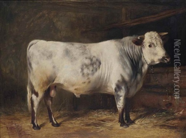 The Prize Bull Conrad, Bred By Sir Charles Knightly (1781-1864) Oil Painting - William Barraud