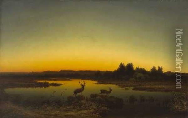 Hirsche In Abendlicher Moorlandschaft Oil Painting - Anton Zwengauer the Elder