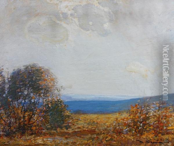 Autumn Sunlight Oil Painting - Mark Senior