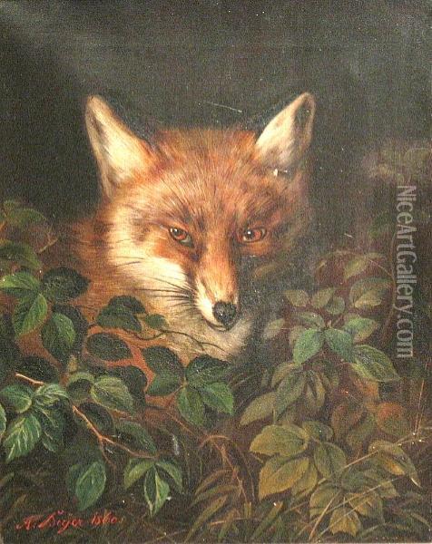 A Fox In The Woods Oil Painting - Alfred Beyer