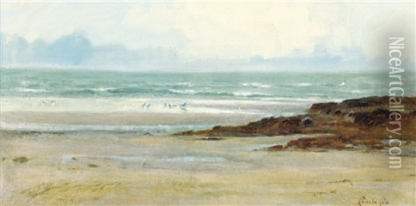 Gulls On A Beach, Low-tide Oil Painting - Chisholm Cole