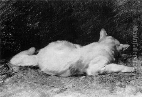 Liegende Katze, Auf Eine Maus Lauernd Oil Painting - Julius Adam the Younger