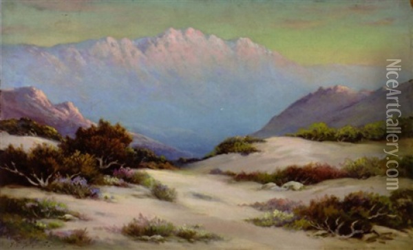 A Desert In Bloom At Sunrise Oil Painting - Alexis Matthew Podchernikoff