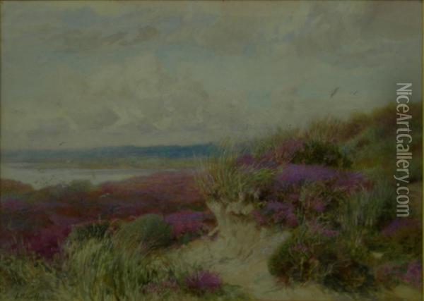 The Foreshore At Studland With A Corner Of Littlesea Oil Painting - Arthur Hopkins