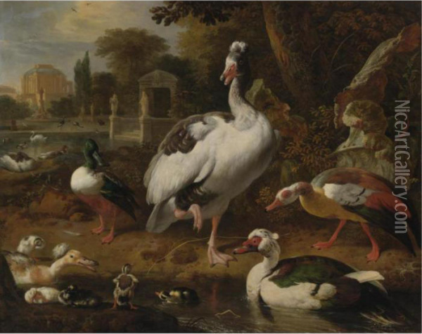 A Shoveler, A Grey And White 
Crested Goose, An Egyptian Goose, A Muscovy Duck And Other Waterfowl In A
 Park Oil Painting - Melchior de Hondecoeter