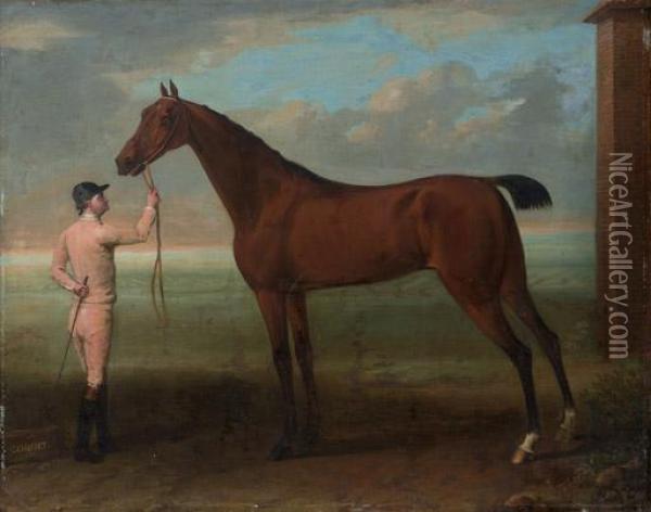 Coquette, A Bay Mare, Held By A Groom Oil Painting - John Wootton
