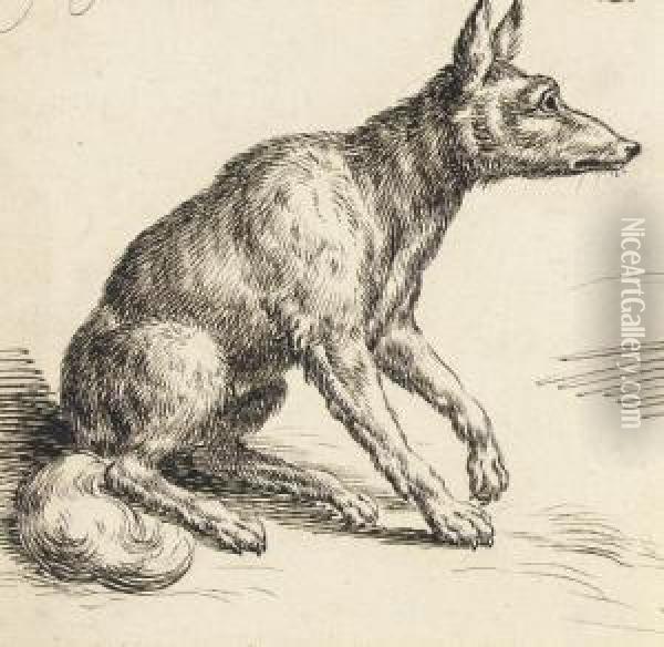 A Seated Fox In Profile To The Right Oil Painting - Andries Jacobsz. Stock