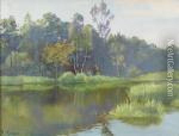 Sommerliche Ansicht Der Ufenau Oil Painting - Robert Kiener