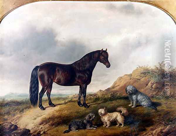 A Pony and three Terriers in a landscape Oil Painting - G. Jackson