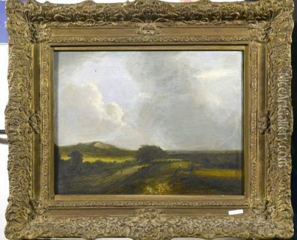 Brache Landschaft Mit Bauern Auf Dem Feld. Oil Painting - Jacob Van Ruisdael