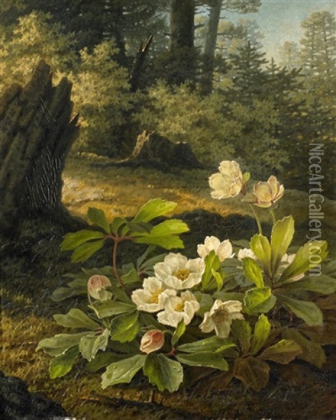 Christrosen Im Wald Oil Painting - Pauline Halmrecte Flechner