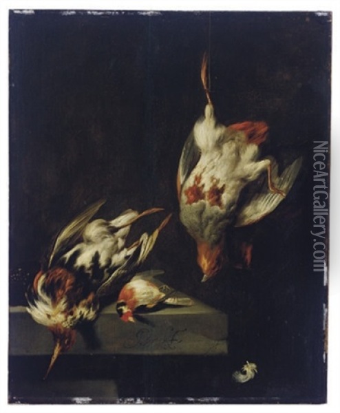 A Partridge And Other Game Birds On A Marble Ledge Oil Painting - Jan Vonck