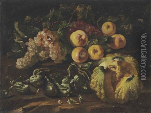 Grapes, Apples, A Melon And Other Fruit On A Stone Ledge Oil Painting - Bartolomeo Castelli the Elder