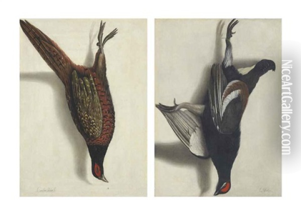 A Trompe L'oeil Of A Hanging Pheasant (+ A Trompe L'oeil Of A Hanging Black Grouse; Pair) Oil Painting - Cornelis (Bilcius) Biltius