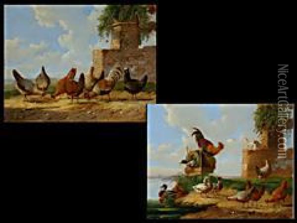 Gemaldepaar Oil Painting - Albertus Verhoesen