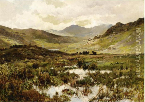 Snowdon From Capel Curig Oil Painting - Alfred de Breanski