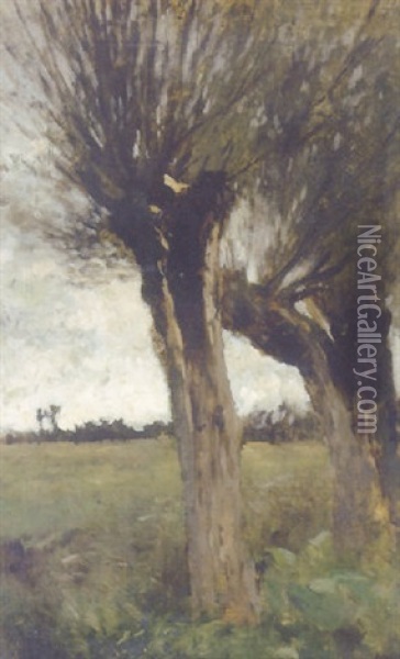 Landschaft Mit Weidenbaumen Oil Painting - Thomas Herbst