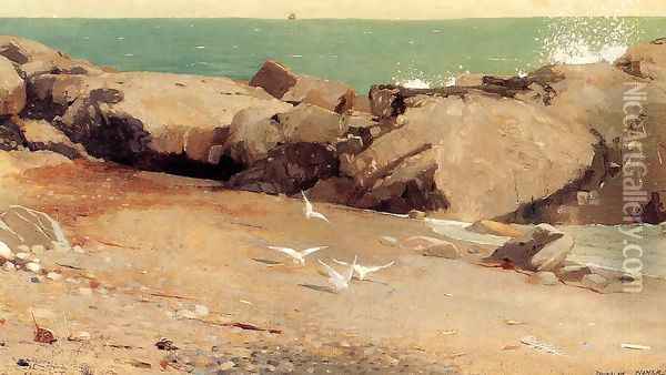 Rocky Coast and Gulls Oil Painting - Winslow Homer