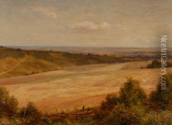 A View Of The South Downs Oil Painting - Charles Edward Johnson