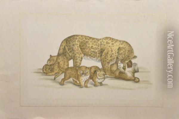 Femelle Et Ses Petits Lionne Et Leopard Oil Painting - Louis Lafitte