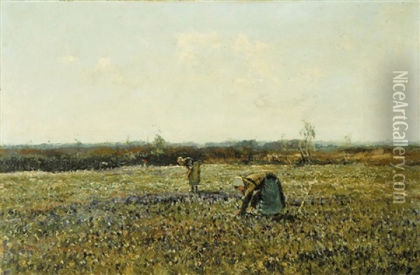 Champs De Fleurs - Matin Oil Painting - Franz Courtens