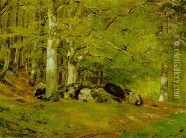 Waldlandschaft Oil Painting - Hugo Darnaut