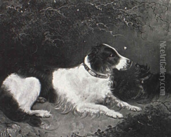 A Setter And A Terrier Oil Painting - Edward Armfield