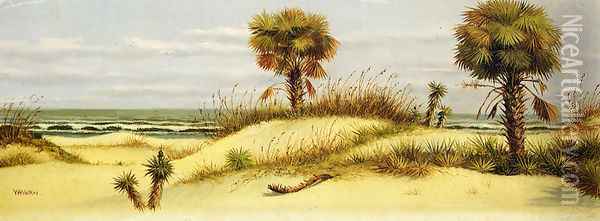 Palms at Ponce Park, Florida Oil Painting - William Aiken Walker